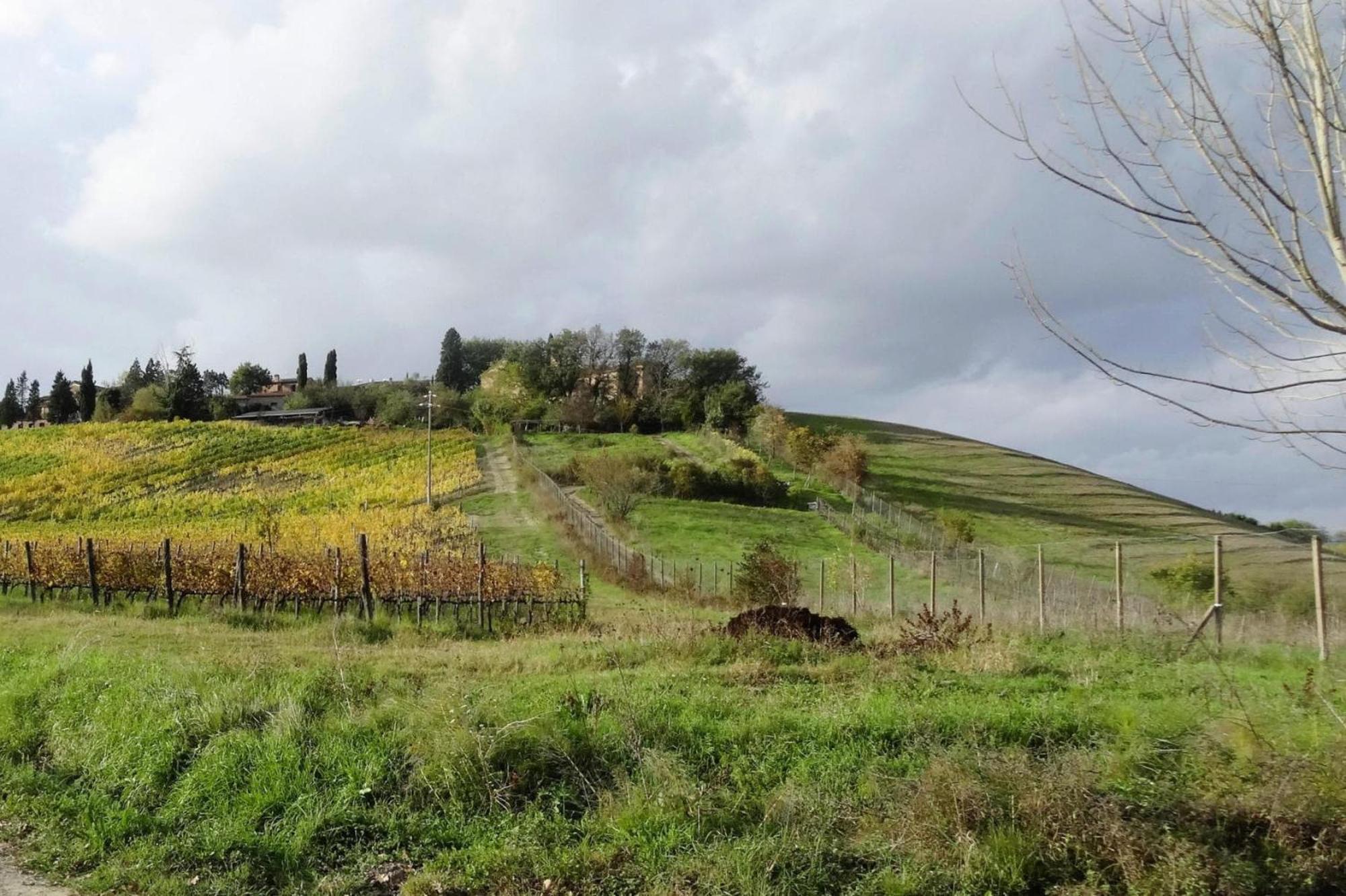 Fattoria Bio Pieve A Salti Montalcino Daire Dış mekan fotoğraf